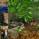 Illustration for article titled Will Global Warming Bring Back These Terrifying Lizard Kings?